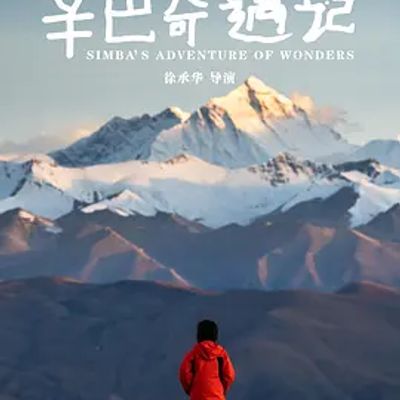 辛巴奇遇记